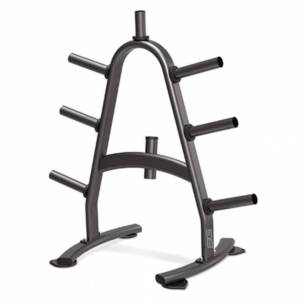 Стойка для дисков BRONZE GYM BR-1022 